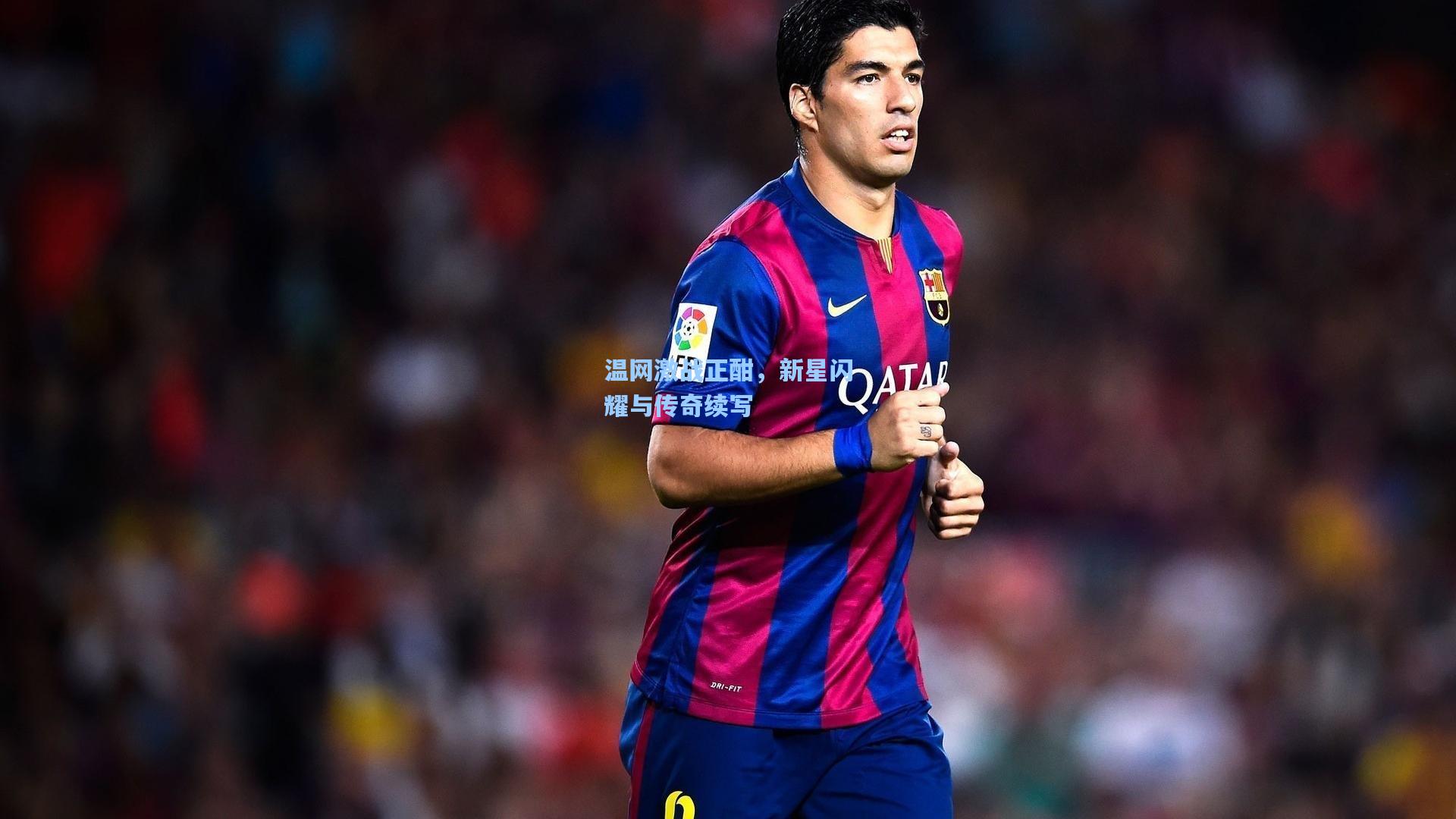 温网激战正酣,新星闪耀与传奇续写