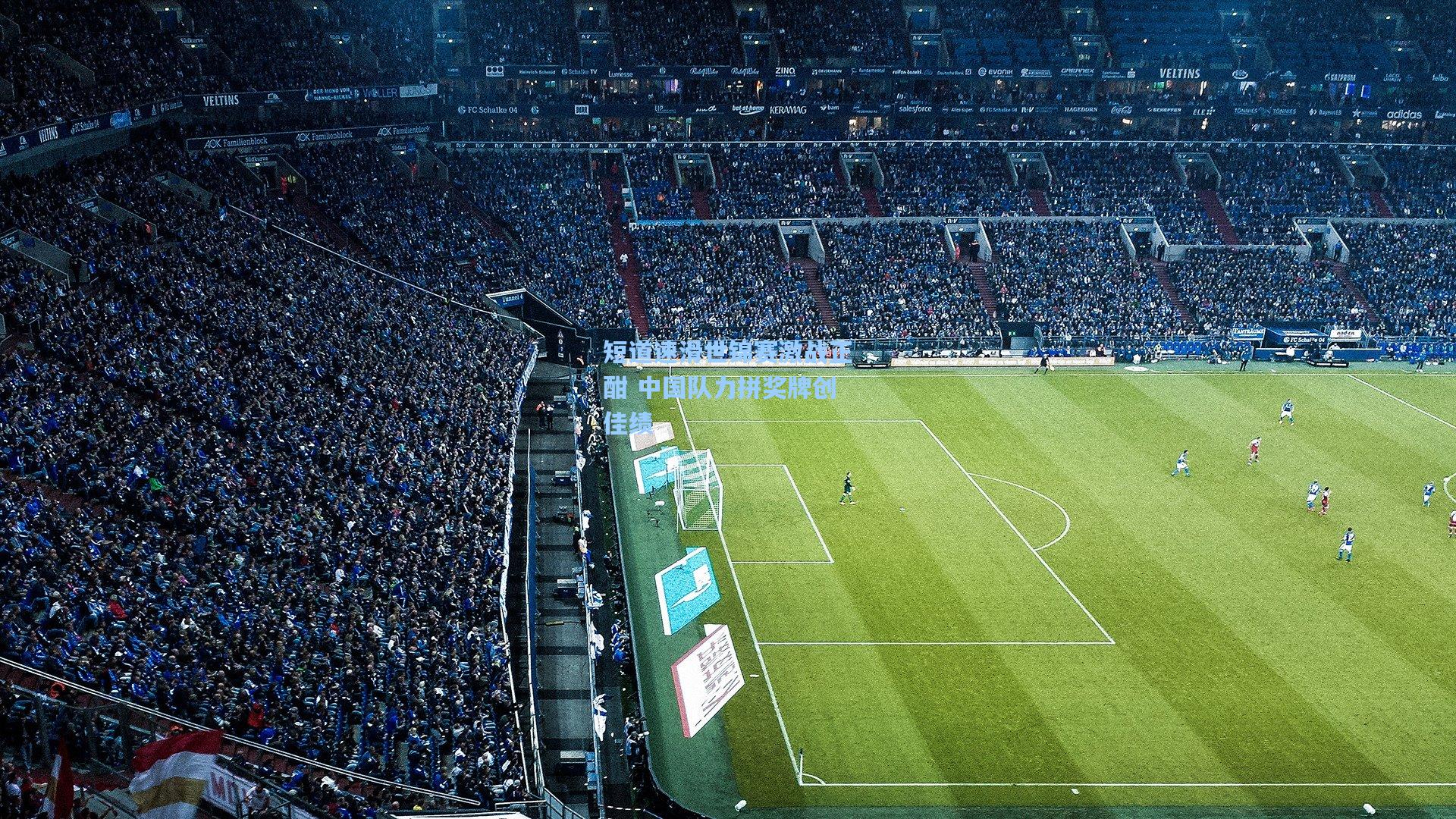 短道速滑世锦赛激战正酣 中国队力拼奖牌创佳绩