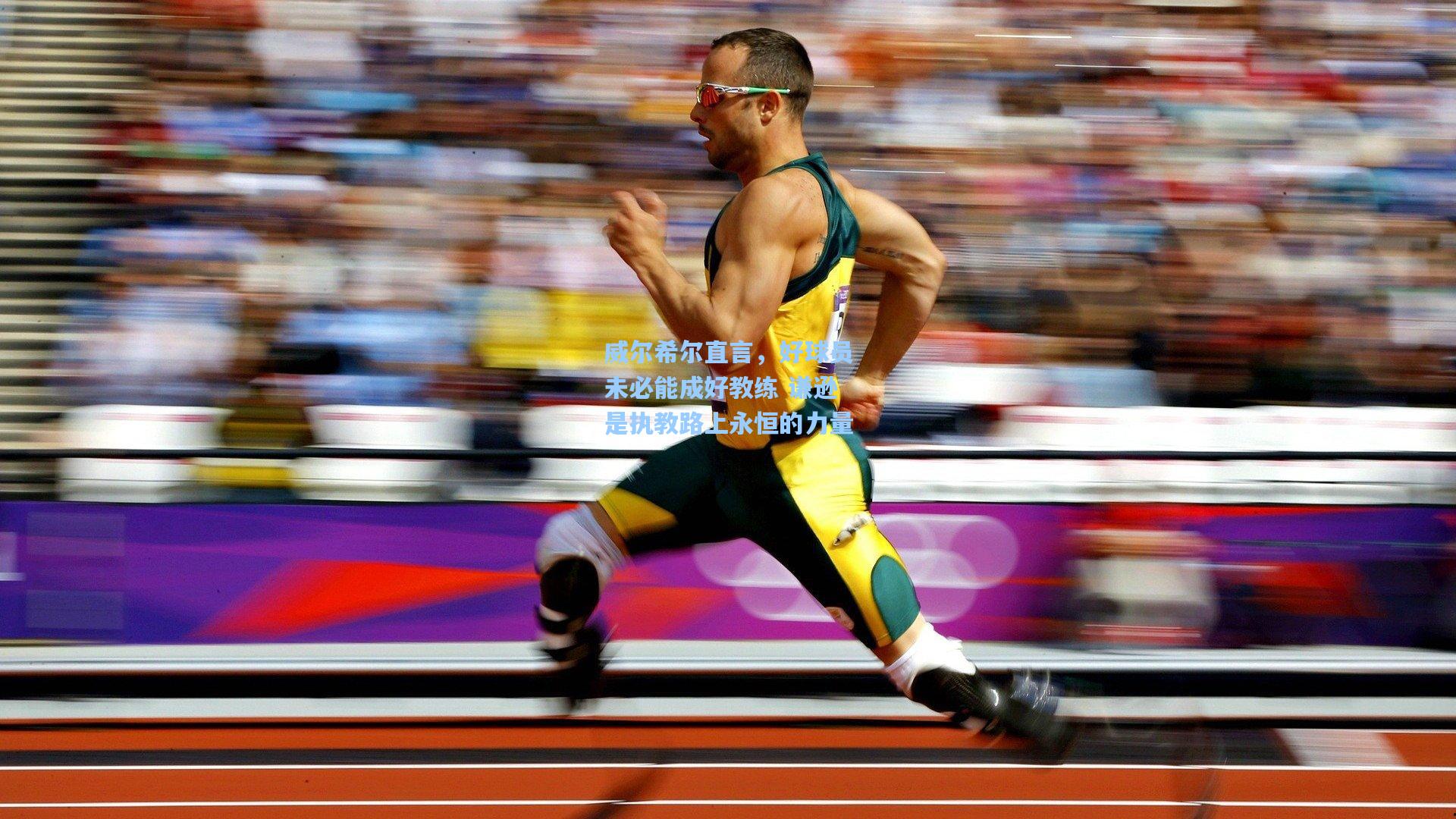 威尔希尔直言，好球员未必能成好教练 谦逊是执教路上永恒的力量